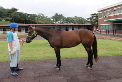 ����ġ ����