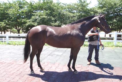 �����Ǻ� ����