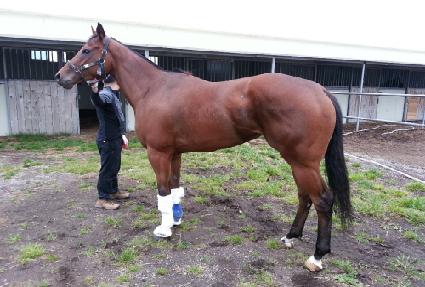 ��ġ ����