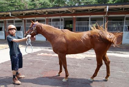 �����̺� ����