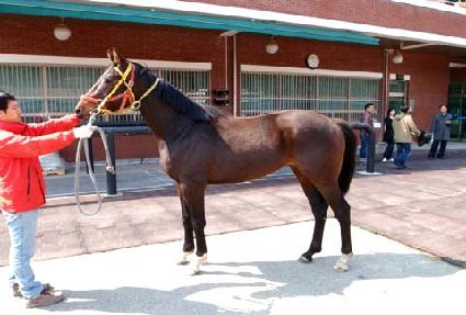 �뵿���� ����