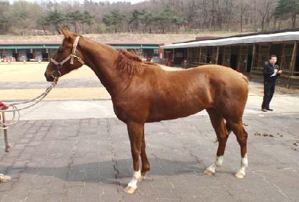 õ����ȭ ����