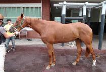 ��ġ�� (WATCH ME) ����