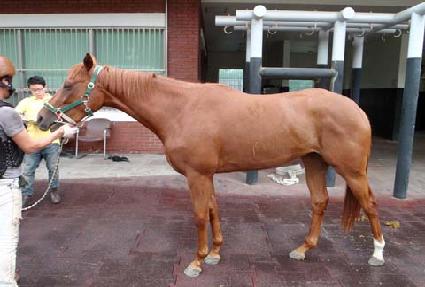 ��ġ�� ����