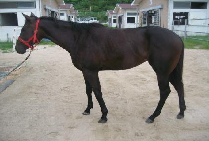 ���＼�� ����