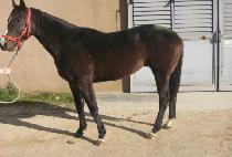 �ΰ氭Ÿ (BUGYEONG GANGTA) ����