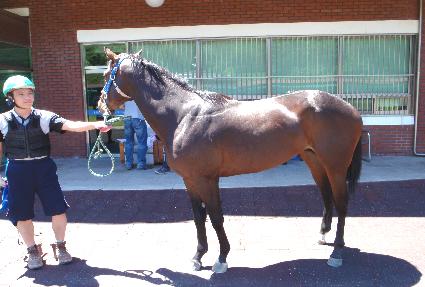 �ο���ġ ����