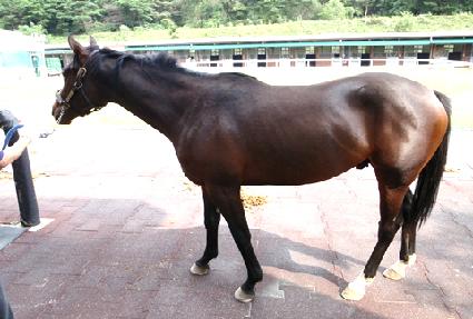 �����߽� ����