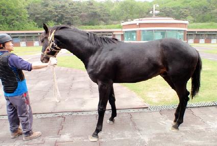 ����Ʈ���̱� ����