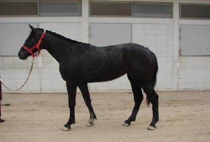 �������� ����