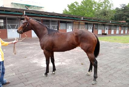 ��ȥ���� ����