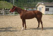 �浿�� (GILDONGI) ����