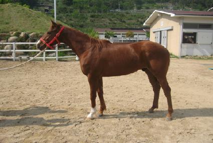 �浿�� ����