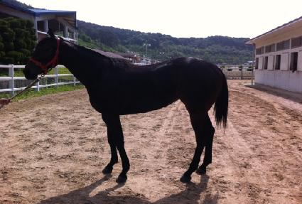 �ƿ����̵� ����