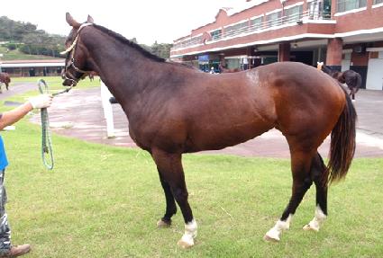 ���յ�� ����