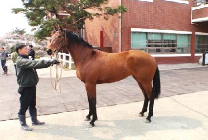 ��������� ����