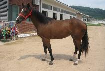 �ϴ��̿� (HANEULIYEO) ����