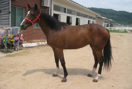 �ϴ��̿� ����