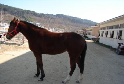 �ٹ�Ʈ ����