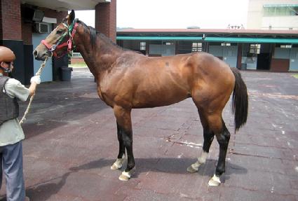 ���������� ����