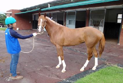 ȯ���ǽ��� ����