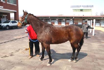 �̾߸��� ����