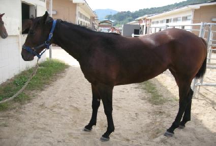 ����Ǯ�� ����