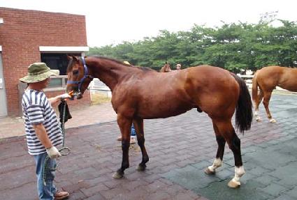 ����� ����