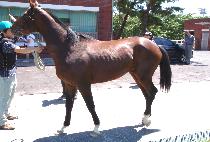 ��� (DAEGWON) ����