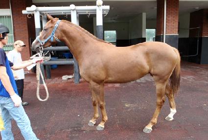 �紺��� ����