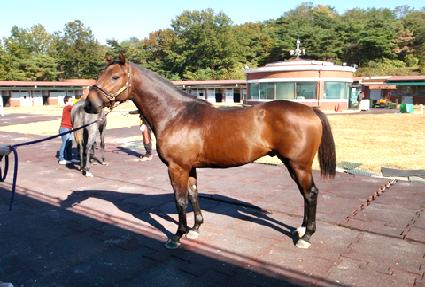 �����ۺ� ����