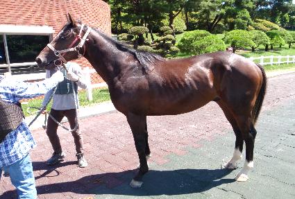 ���� ����