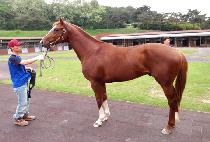 �������� (GAEMA GANGJA) ����