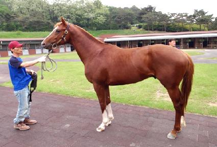 �������� ����