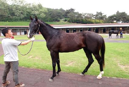 �������� ����