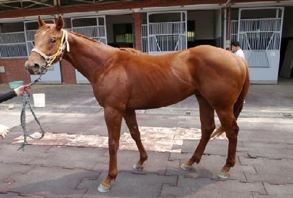 �ɳ��� ����