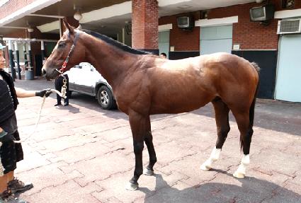 ����� ����