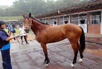 ������ (LAKSHMI) ����