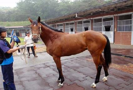 ������ ����