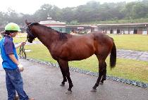 ����̻� (UGONGISAN) ����