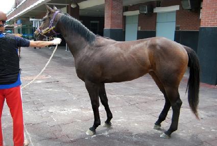 ���̵�ķ�� ����