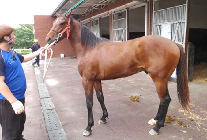 ������ ����