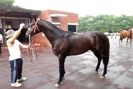 �����Ʈ ����