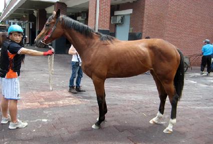 �غ�ġ ����