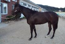 ��ũ���� (RAQS WIN) ����