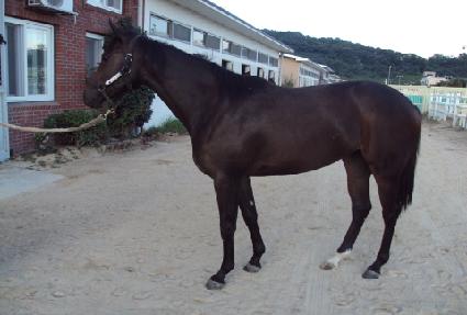 ��ũ���� ����