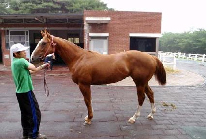 �������� ����