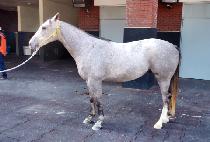 ��ȣ (BAEKO) ����