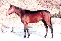 JIGEUM I SUNGAN picture