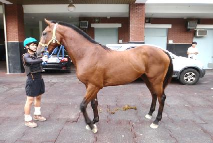 �Ӵϸ���Ŀ ����